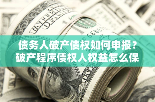 北京债务人破产债权如何申报？破产程序债权人权益怎么保障？