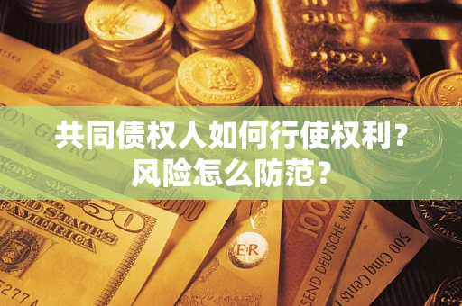北京共同债权人如何行使权利？风险怎么防范？