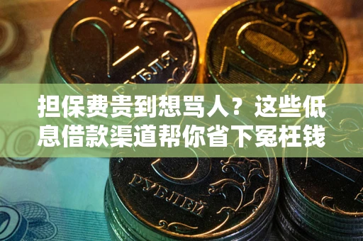 北京担保费贵到想骂人？这些低息借款渠道帮你省下冤枉钱