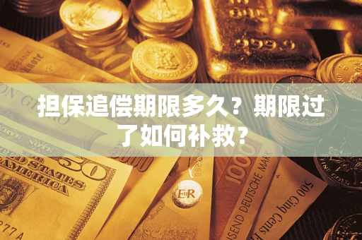 北京担保追偿期限多久？期限过了如何补救？