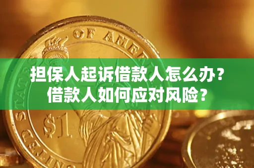 北京担保人起诉借款人怎么办？借款人如何应对风险？